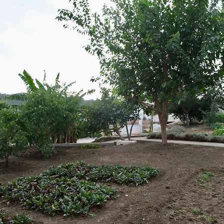Jnane Yemma Hotel Tangier Exterior photo