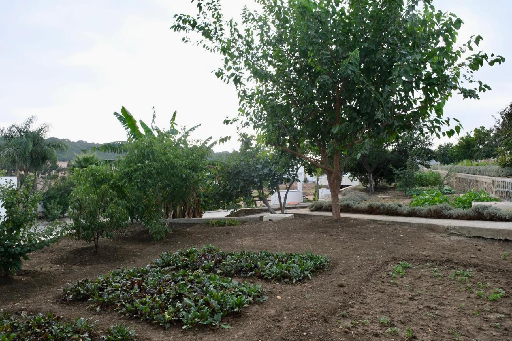 Jnane Yemma Hotel Daidatz Exterior photo
